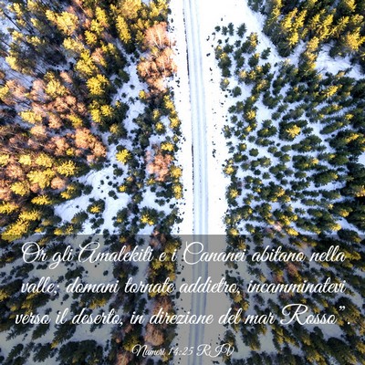 Picture 03 - Numeri 14:25 RIV - Or gli Amalekiti e i Cananei abitano nella valle; - Bible Verse Picture