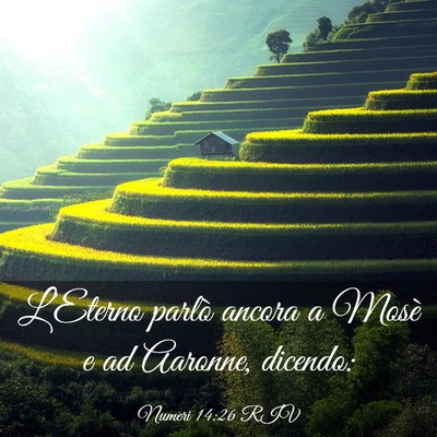 Picture 03 - Numeri 14:26 RIV - L’Eterno parlò ancora a Mosè e ad Aaronne, - Bible Verse Picture