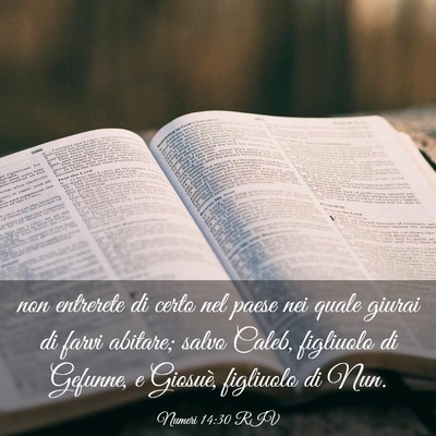Picture 03 - Numeri 14:30 RIV - non entrerete di certo nel paese nei quale giurai - Bible Verse Picture