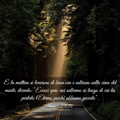 Picture 03 - Numeri 14:40 RIV - E la mattina si levarono di buon’ora e salirono - Bible Verse Picture