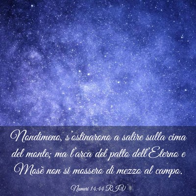 Picture 03 - Numeri 14:44 RIV - Nondimeno, s’ostinarono a salire sulla cima del - Bible Verse Picture