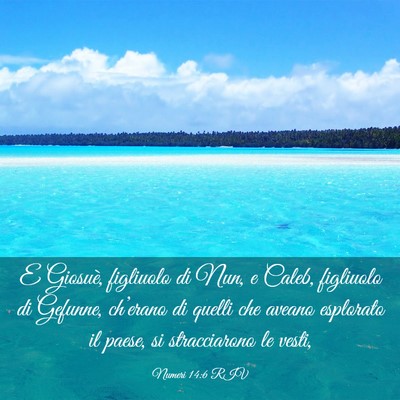 Picture 03 - Numeri 14:6 RIV - E Giosuè, figliuolo di Nun, e Caleb, figliuolo - Bible Verse Picture