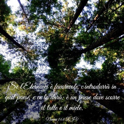 Picture 03 - Numeri 14:8 RIV - Se l’Eterno ci è favorevole, c’introdurrà - Bible Verse Picture
