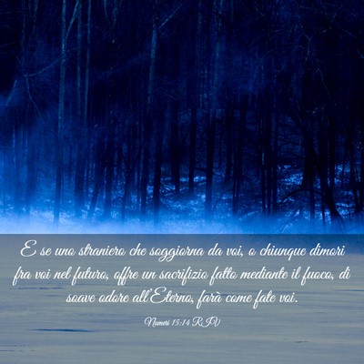 Picture 03 - Numeri 15:14 RIV - E se uno straniero che soggiorna da voi, o - Bible Verse Picture