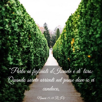 Picture 03 - Numeri 15:18 RIV - “Parla ai figliuoli d’Israele e di’ loro: - Bible Verse Picture