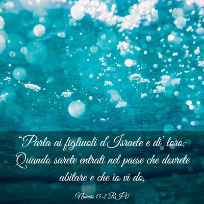 Picture 03 - Numeri 15:2 RIV - “Parla ai figliuoli d’Israele e di’ loro: - Bible Verse Picture
