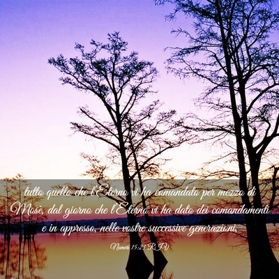 Picture 03 - Numeri 15:23 RIV - tutto quello che l’Eterno vi ha comandato per - Bible Verse Picture