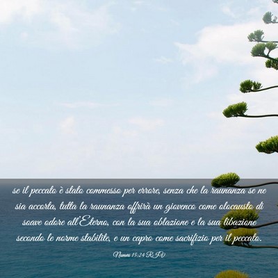 Picture 03 - Numeri 15:24 RIV - se il peccato è stato commesso per errore, senza - Bible Verse Picture