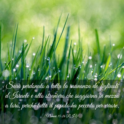 Picture 03 - Numeri 15:26 RIV - Sarà perdonato a tutta la raunanza de’ - Bible Verse Picture