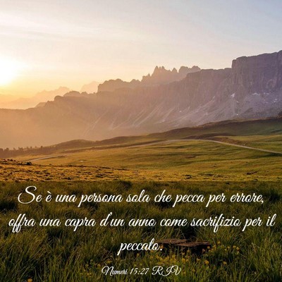Picture 03 - Numeri 15:27 RIV - Se è una persona sola che pecca per errore, - Bible Verse Picture