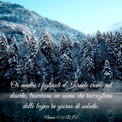 Picture 03 - Numeri 15:32 RIV - Or mentre i figliuoli d’Israele erano nel - Bible Verse Picture