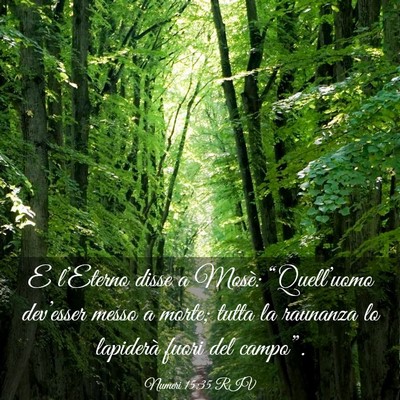 Picture 03 - Numeri 15:35 RIV - E l’Eterno disse a Mosè: “Quell’uomo - Bible Verse Picture