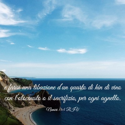 Picture 03 - Numeri 15:5 RIV - e farai una libazione d’un quarto di hin di - Bible Verse Picture
