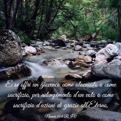 Picture 03 - Numeri 15:8 RIV - E se offri un giovenco come olocausto o come - Bible Verse Picture