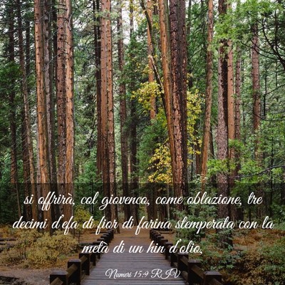 Picture 03 - Numeri 15:9 RIV - si offrirà, col giovenco, come oblazione, tre - Bible Verse Picture