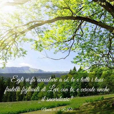 Picture 03 - Numeri 16:10 RIV - Egli vi fa accostare a sé, te e tutti i tuoi - Bible Verse Picture