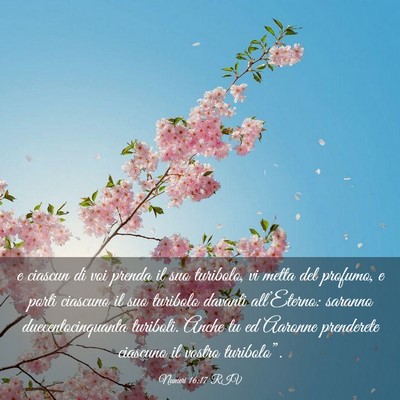 Picture 03 - Numeri 16:17 RIV - e ciascun di voi prenda il suo turibolo, vi metta - Bible Verse Picture
