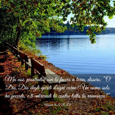 Picture 03 - Numeri 16:22 RIV - Ma essi, prostratisi con la faccia a terra, - Bible Verse Picture