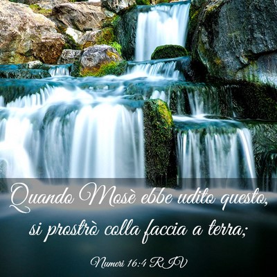 Picture 03 - Numeri 16:4 RIV - Quando Mosè ebbe udito questo, si prostrò colla - Bible Verse Picture
