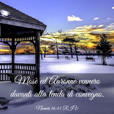 Picture 03 - Numeri 16:43 RIV - Mosè ed Aaronne vennero davanti alla tenda di - Bible Verse Picture