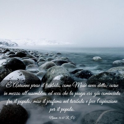 Picture 03 - Numeri 16:47 RIV - E Aaronne prese il turibolo, come Mosè avea - Bible Verse Picture