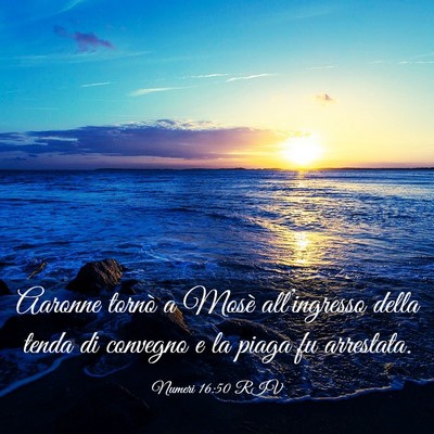 Picture 03 - Numeri 16:50 RIV - Aaronne tornò a Mosè all’ingresso della tenda - Bible Verse Picture