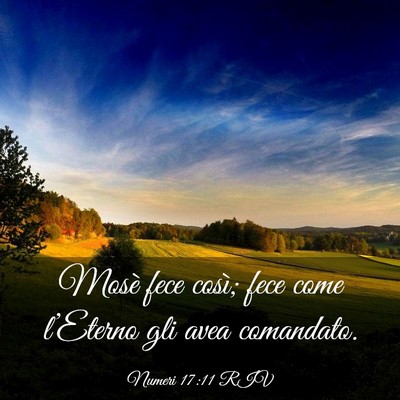 Picture 03 - Numeri 17:11 RIV - Mosè fece così; fece come l’Eterno gli avea - Bible Verse Picture