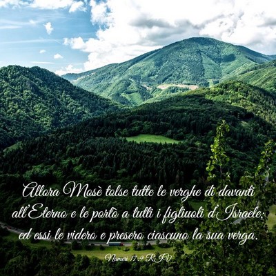 Picture 03 - Numeri 17:9 RIV - Allora Mosè tolse tutte le verghe di davanti - Bible Verse Picture