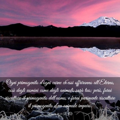 Picture 03 - Numeri 18:15 RIV - Ogni primogenito d’ogni carne ch’essi - Bible Verse Picture