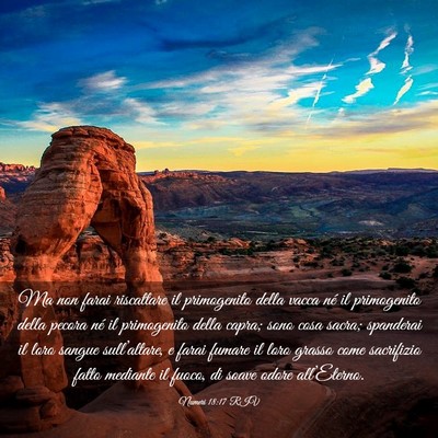 Picture 03 - Numeri 18:17 RIV - Ma non farai riscattare il primogenito della - Bible Verse Picture