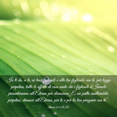 Picture 03 - Numeri 18:19 RIV - Io ti do, a te, ai tuoi figliuoli e alle tue - Bible Verse Picture