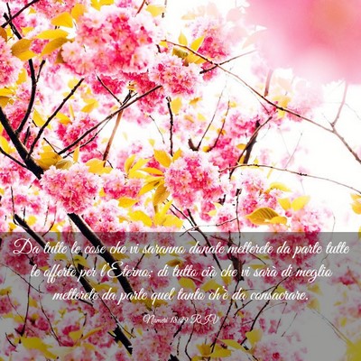 Picture 03 - Numeri 18:29 RIV - Da tutte le cose che vi saranno donate metterete - Bible Verse Picture