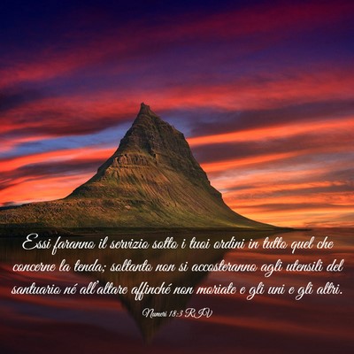 Picture 03 - Numeri 18:3 RIV - Essi faranno il servizio sotto i tuoi ordini in - Bible Verse Picture