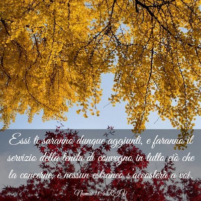 Picture 03 - Numeri 18:4 RIV - Essi ti saranno dunque aggiunti, e faranno il - Bible Verse Picture