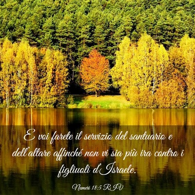 Picture 03 - Numeri 18:5 RIV - E voi farete il servizio del santuario e - Bible Verse Picture