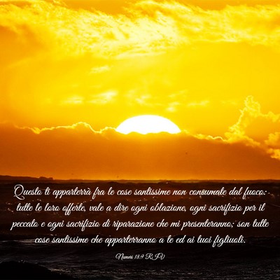 Picture 03 - Numeri 18:9 RIV - Questo ti apparterrà fra le cose santissime non - Bible Verse Picture