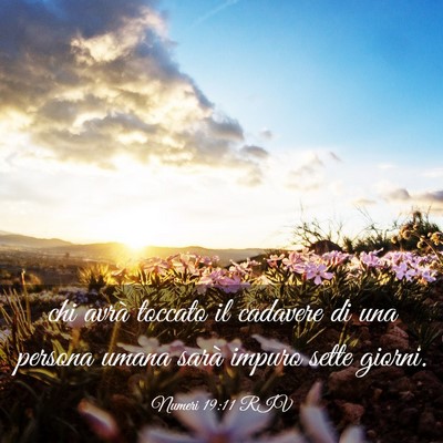 Picture 03 - Numeri 19:11 RIV - chi avrà toccato il cadavere di una persona - Bible Verse Picture