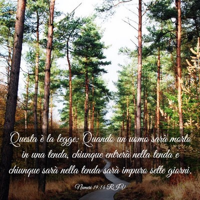 Picture 03 - Numeri 19:14 RIV - Questa è la legge: Quando un uomo sarà morto in - Bible Verse Picture