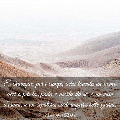 Picture 03 - Numeri 19:16 RIV - E chiunque, per i campi, avrà toccato un uomo - Bible Verse Picture