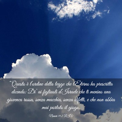 Picture 03 - Numeri 19:2 RIV - “Questo è l’ordine della legge che - Bible Verse Picture