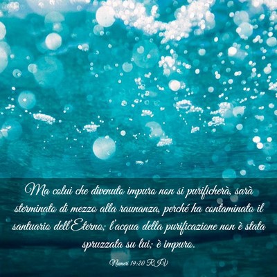 Picture 03 - Numeri 19:20 RIV - Ma colui che divenuto impuro non si purificherà, - Bible Verse Picture