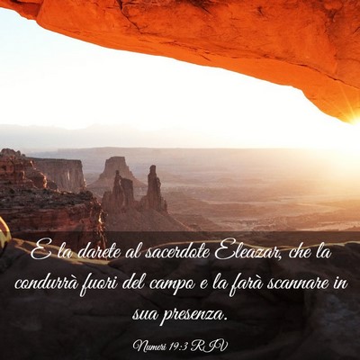 Picture 03 - Numeri 19:3 RIV - E la darete al sacerdote Eleazar, che la - Bible Verse Picture