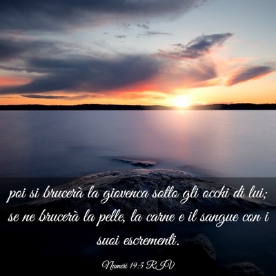Picture 03 - Numeri 19:5 RIV - poi si brucerà la giovenca sotto gli occhi di - Bible Verse Picture