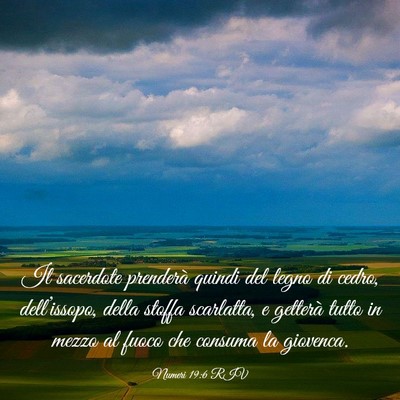 Picture 03 - Numeri 19:6 RIV - Il sacerdote prenderà quindi del legno di cedro, - Bible Verse Picture