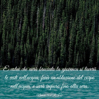 Picture 03 - Numeri 19:8 RIV - E colui che avrà bruciato la giovenca si laverà - Bible Verse Picture