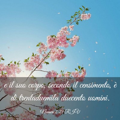 Picture 03 - Numeri 2:21 RIV - e il suo corpo, secondo il censimento, è di - Bible Verse Picture