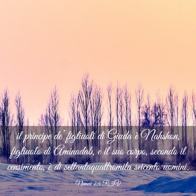 Picture 03 - Numeri 2:4 RIV - il principe de’ figliuoli di Giuda è Nahshon, - Bible Verse Picture
