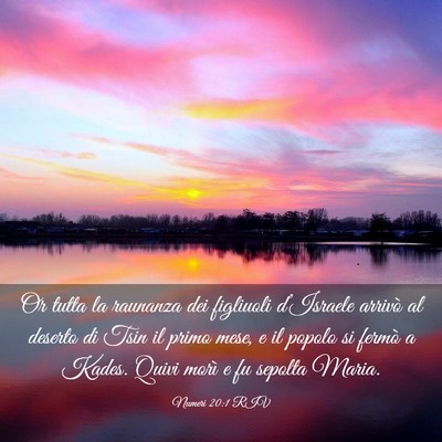 Picture 03 - Numeri 20:1 RIV - Or tutta la raunanza dei figliuoli d’Israele - Bible Verse Picture