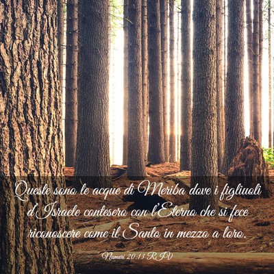 Picture 03 - Numeri 20:13 RIV - Queste sono le acque di Meriba dove i figliuoli - Bible Verse Picture