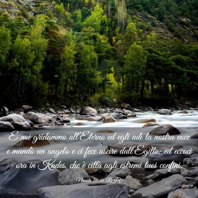 Picture 03 - Numeri 20:16 RIV - E noi gridammo all’Eterno ed egli udì la - Bible Verse Picture